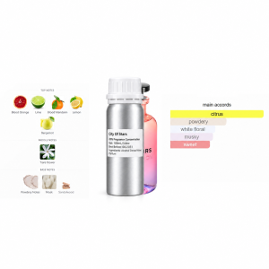 Inspired by City of Stars perfume refill bottle