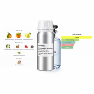 Inspired by Météore perfume refill bottle